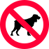 no_dog